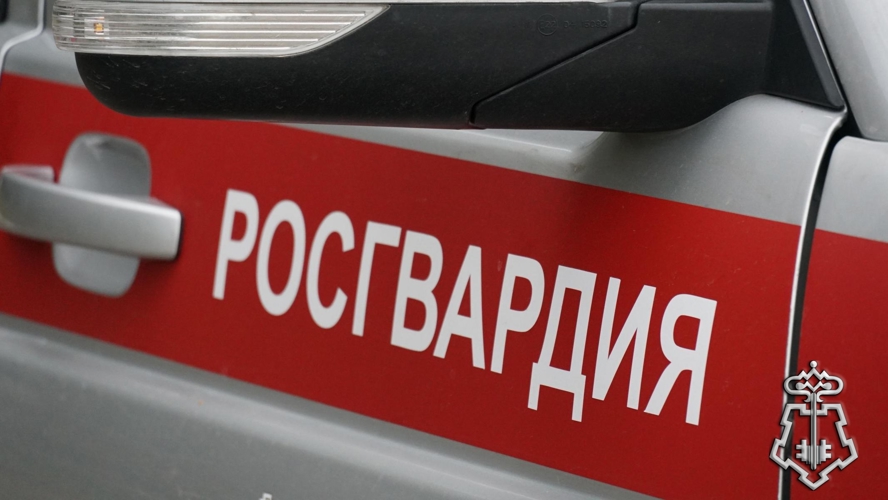 В Кирове росгвардейцы задержали подозреваемых в приобретении наркотиков