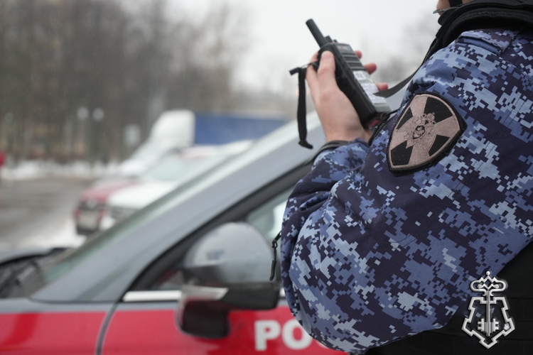 Росгвардейцы пресекли хулиганство в компьютерном клубе